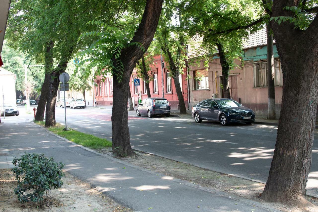 Cozy Flat In The Heart Of The City Oradea Exteriér fotografie